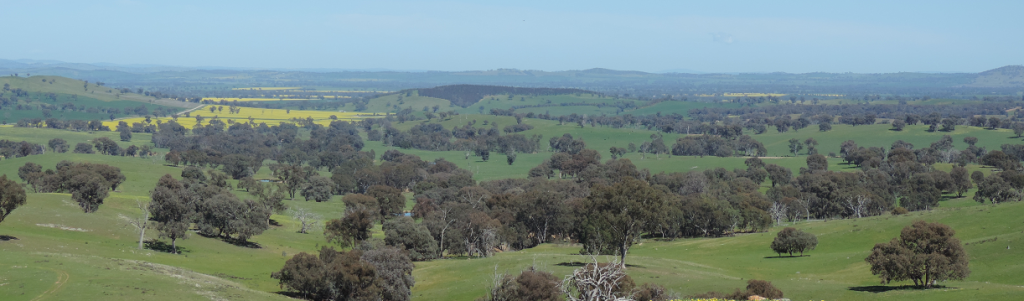 Holbrook Landcare slide 3