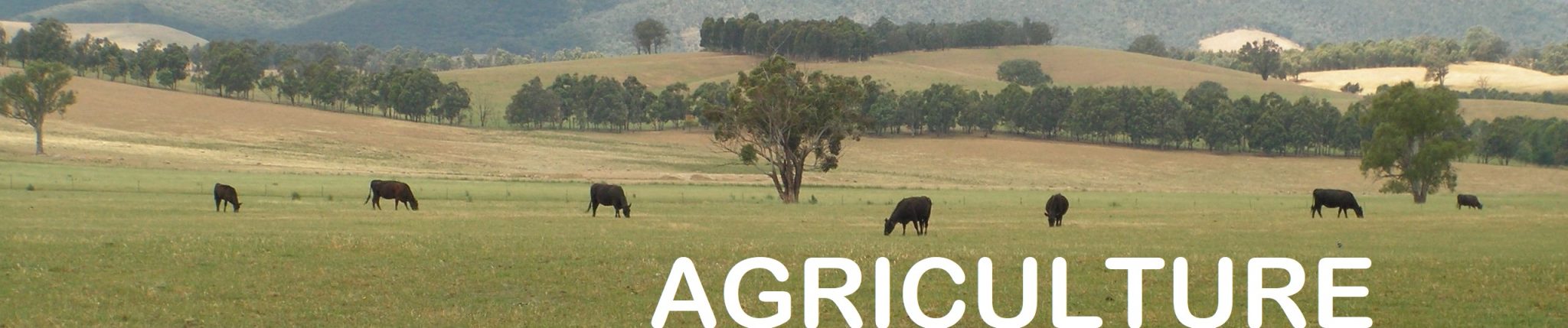 Agriculture Banner Image