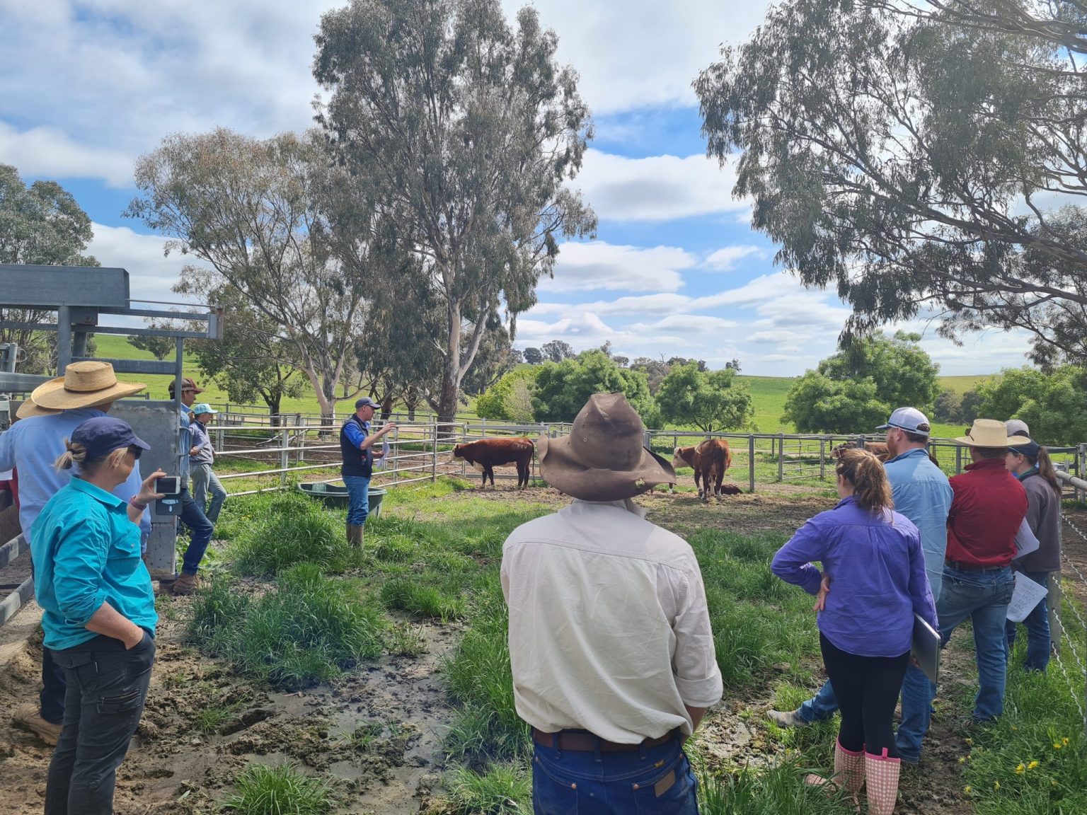 Adaptive Farming Systems Holbrook Landcare Network