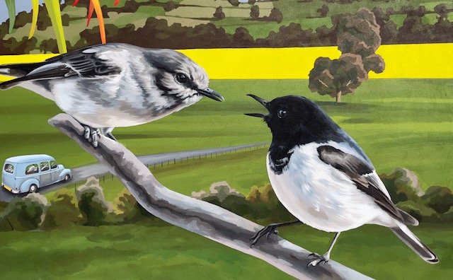 Hooded Robin, Mural