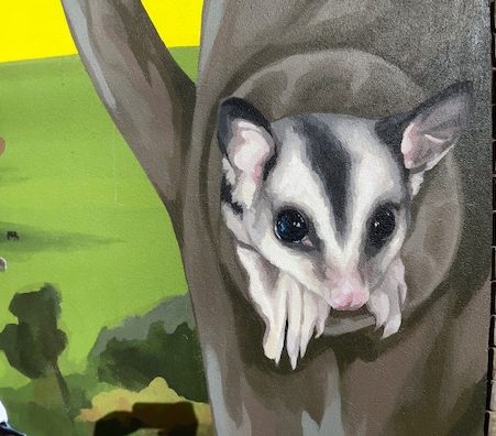 Squirrel Glider Painting on Holbrook Landcare Network Mural