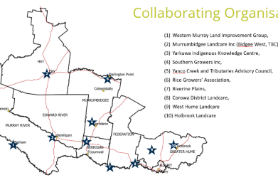 FRRR Collaborating Organisations Map