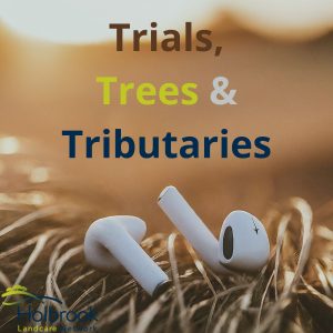 Welcome to Trials, Trees and Tributaries