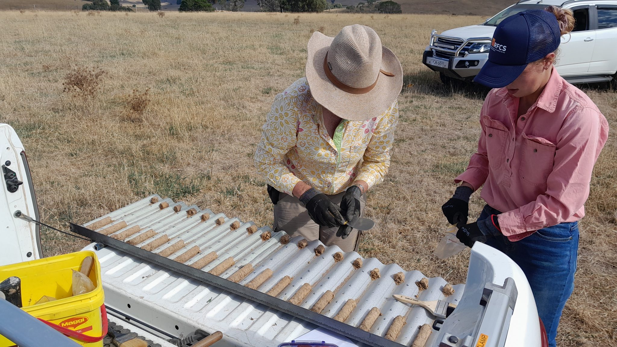 Soil cores getting cut into intervals