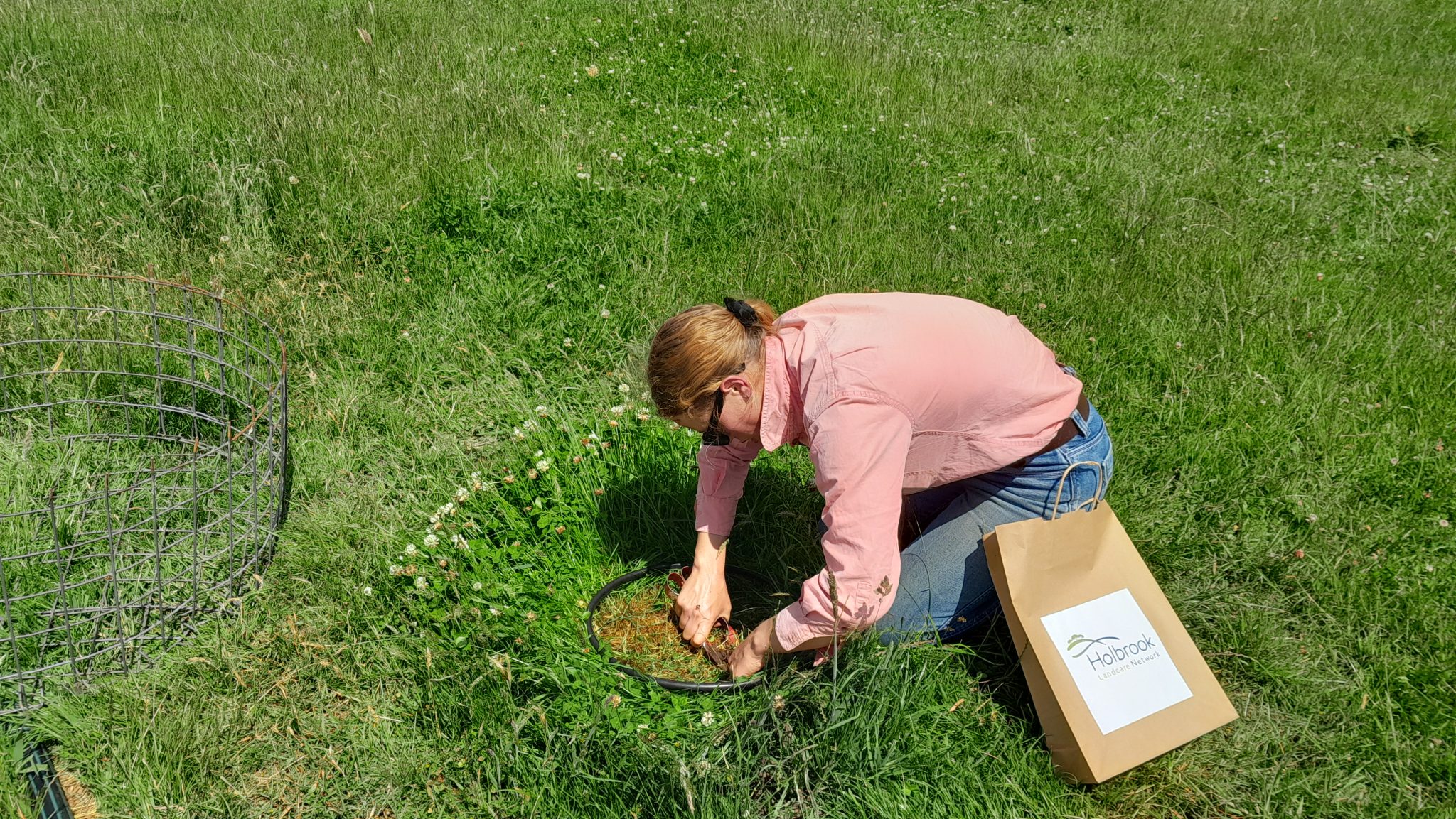 Annual pasture measurements