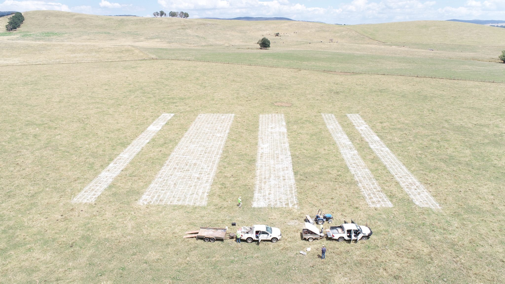 Mannus demonstration site