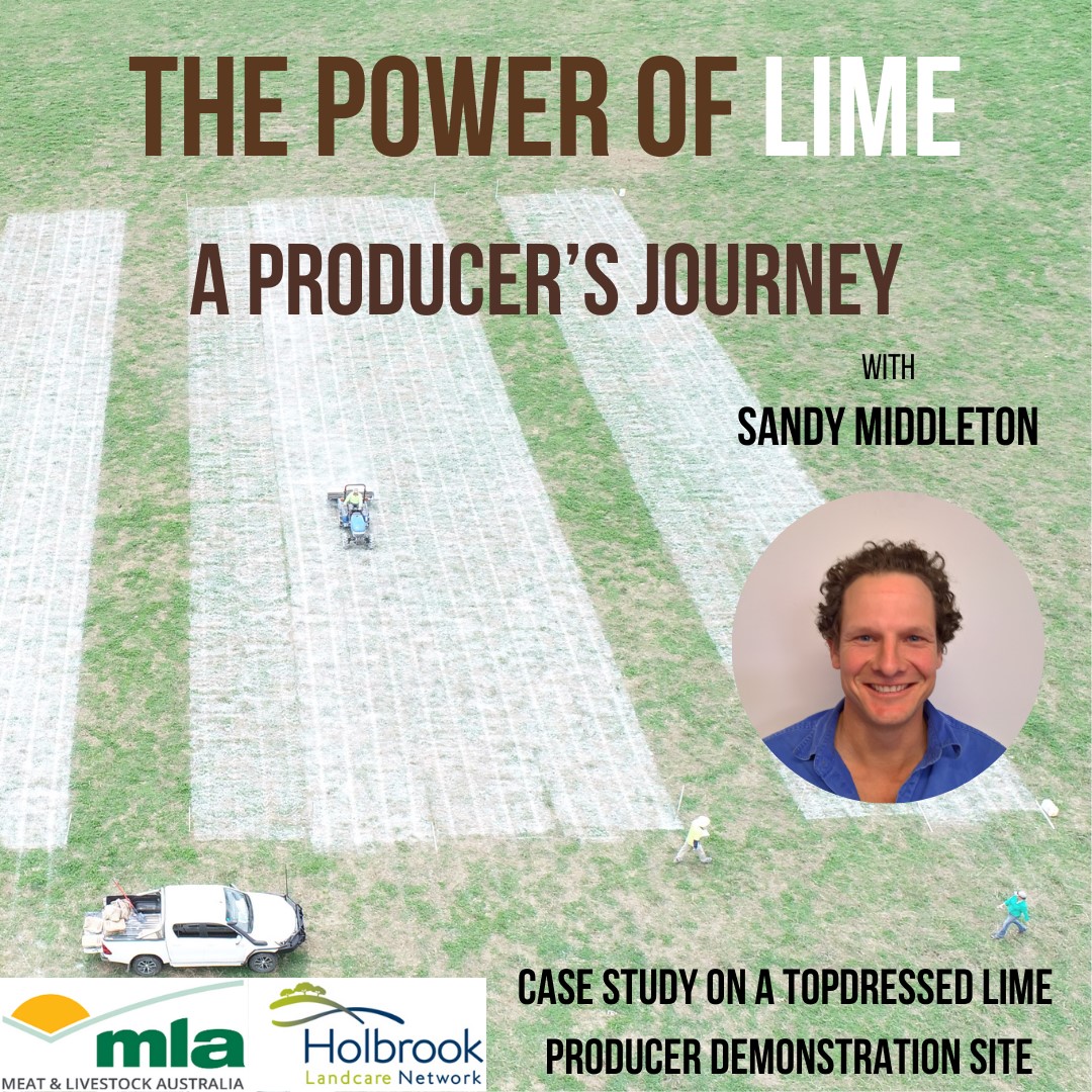 The Power of Lime: A Producer’s Journey
