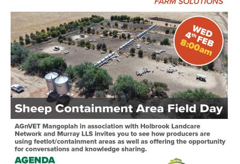 AVS-AGpack-LS_Sheep Containment-invite-A4_2025