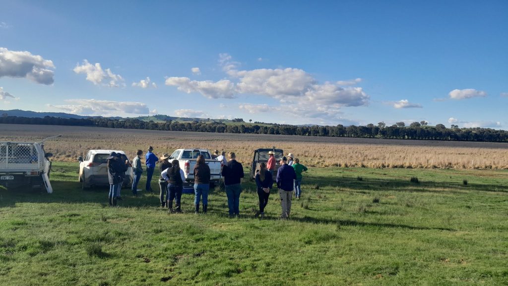 Expansive salinity discharge site at Little Billabong, successfully rehabilitated with surface water flow diversion and deep rooted perennial plants to keep the groundwater table down