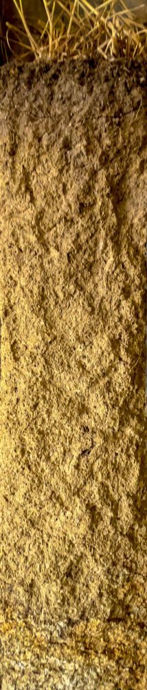 Brown-Orthic Tenosol soil monolith from Wymah NSW